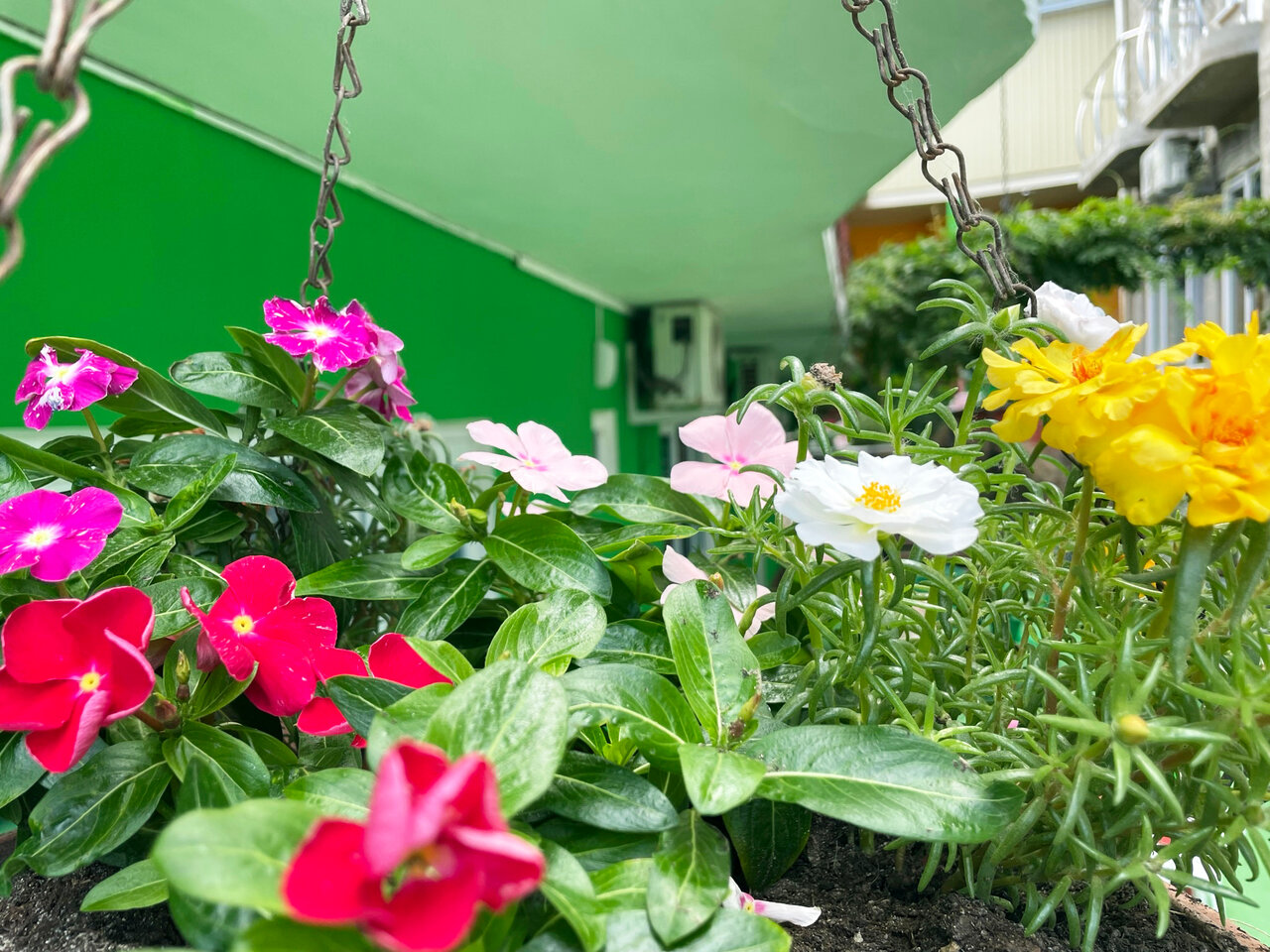 Гостиница Камена Анапа