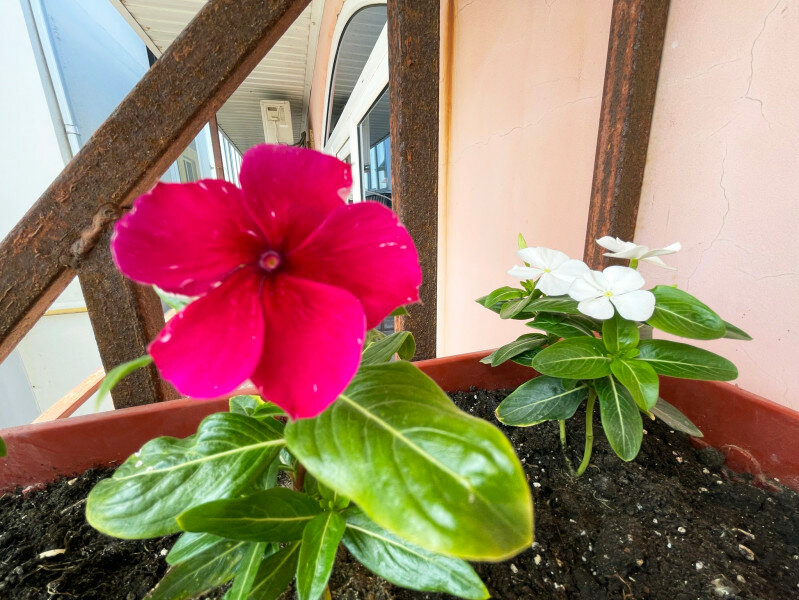 Гостиница Камена Анапа