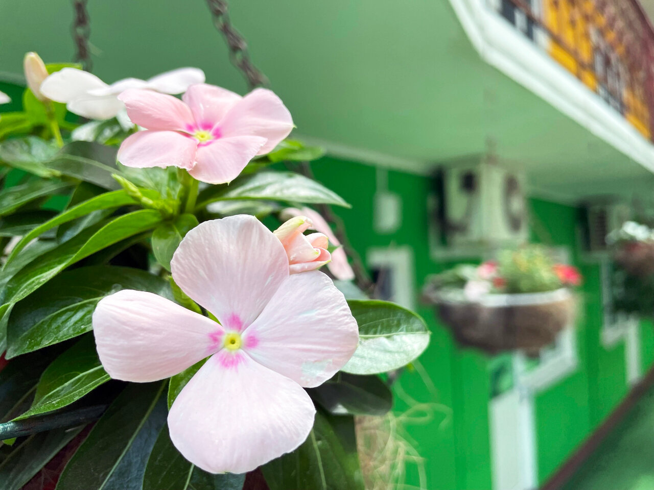 Гостиница Камена Анапа