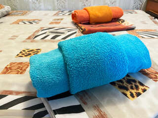 Гостиница Камена Анапа Стандарт 3-х местный-3