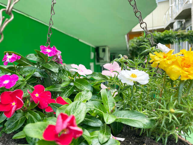 Гостиница Камена Анапа-20